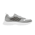 Dior B25 Oblique grey